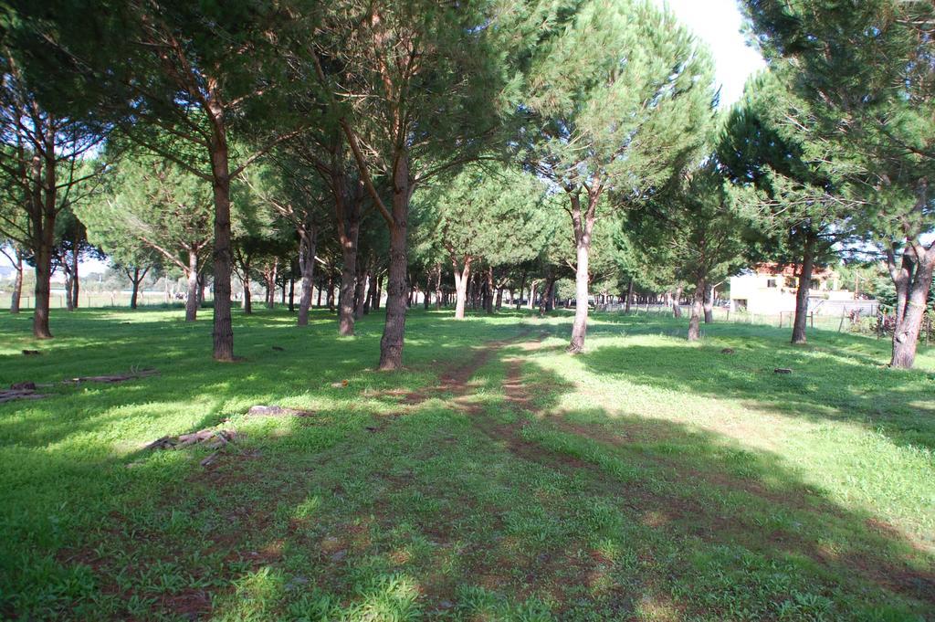 Отель Quinta A Reforma Rossio ao Sul do Tejo Экстерьер фото